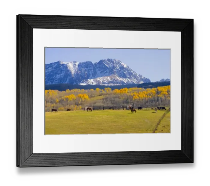 Framed Print : USA, Colorado, Summit County, Shadow Mountain Ranch. Horses grazing in idyllic autumn setting Framed Print : USA, Colorado, Summit County, Shadow Mountain Ranch. Horses grazing in idyllic autumn setting