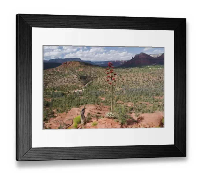 Framed Print : USA, North America, Arizona Framed Print : USA, North America, Arizona