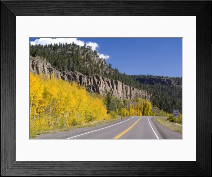 Framed Print : Colorado, Wolf Creek Pass
