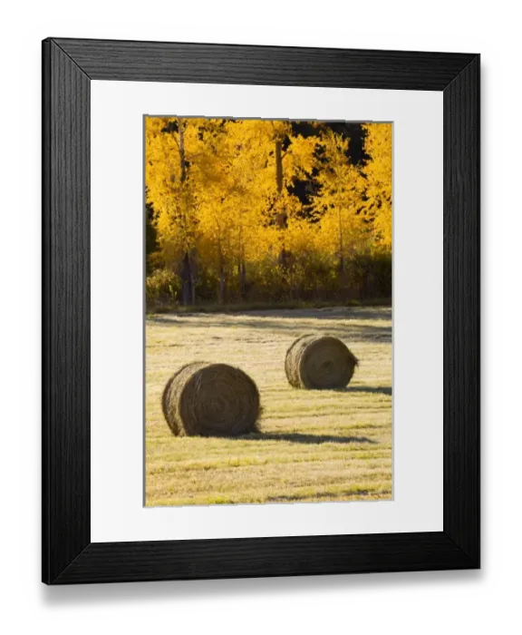 Framed Print : USA, North America, Colorado Framed Print : USA, North America, Colorado