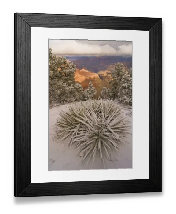 Framed Print : Scenic snowy winter landscape along the south rim of the majestic Grand Canyon, Grand