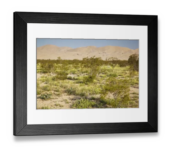 Framed Print : USA, North America, California Framed Print : USA, North America, California
