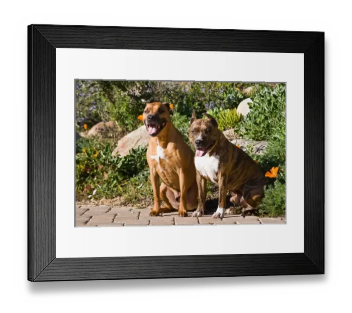 Framed Print : USA, North America, California Framed Print : USA, North America, California