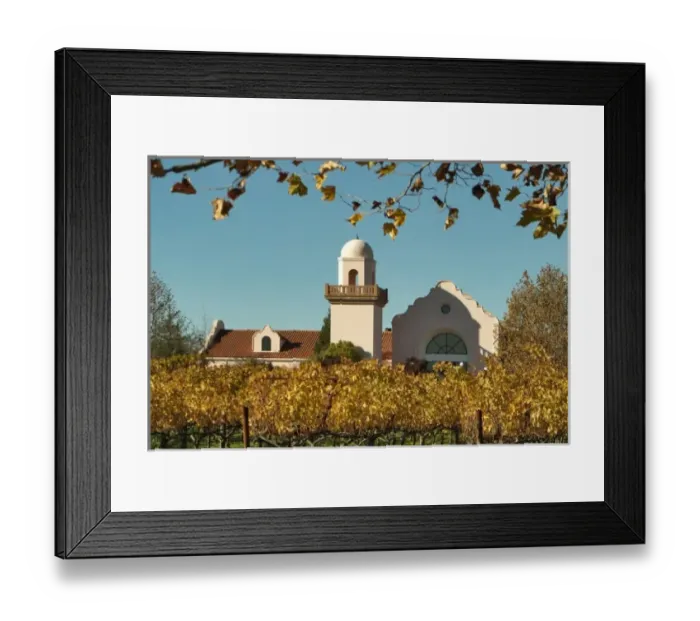 Framed Print : Bright reds and yellows of fall-colored leaves in front of Groth Vineyards & Winery Framed Print : Bright reds and yellows of fall-colored leaves in front of Groth Vineyards & Winery