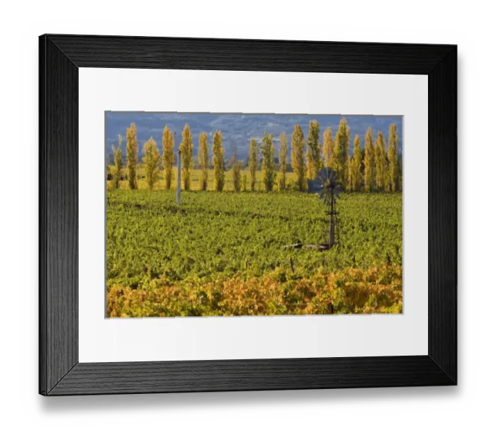 Framed Print : USA, North America, California Framed Print : USA, North America, California