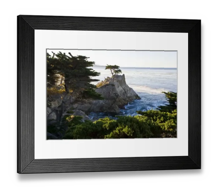 Framed Print : USA. California. Carmel-by-the-Sea. Sunrise lights the famous Lone Cypress as viewed Framed Print : USA. California. Carmel-by-the-Sea. Sunrise lights the famous Lone Cypress as viewed