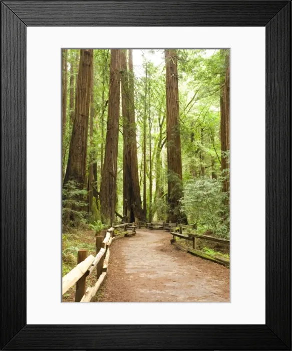 Framed Print : USA, North America, California