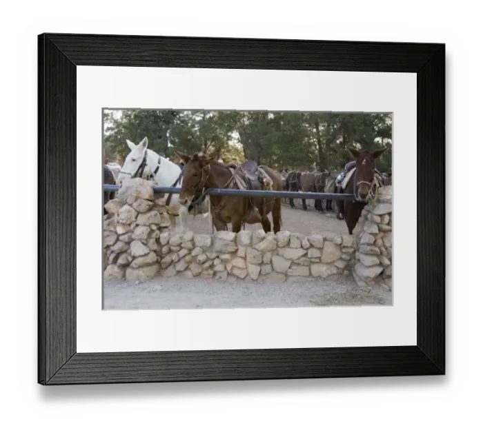 Framed Print : USA, North America, Arizona Framed Print : USA, North America, Arizona