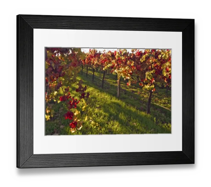 Framed Print : USA, North America, California Framed Print : USA, North America, California