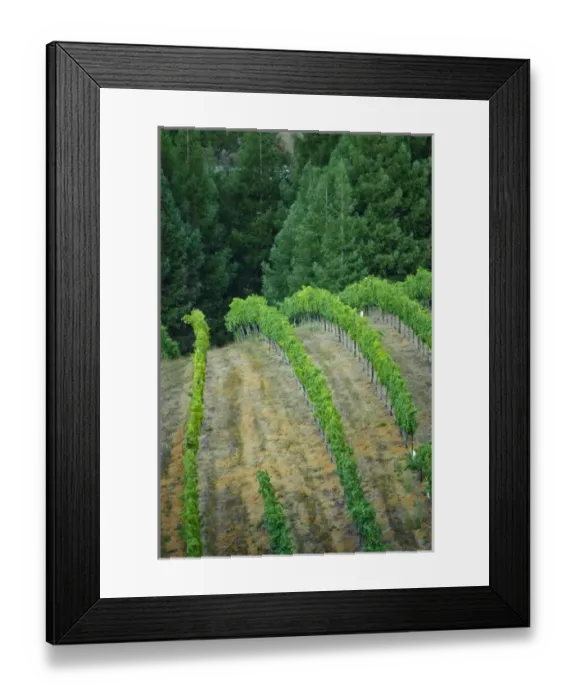 Framed Print : USA, North America, California Framed Print : USA, North America, California