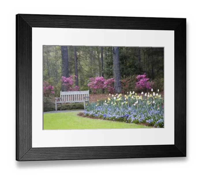 Framed Print : USA, North America, Georgia Framed Print : USA, North America, Georgia