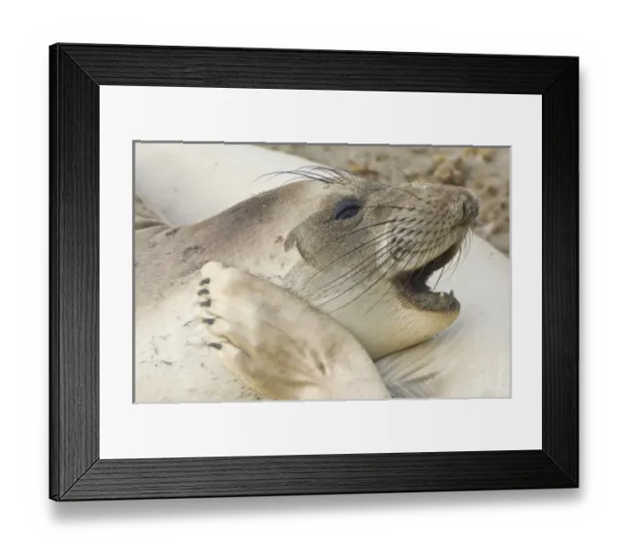 Framed Print : USA, North America, California Framed Print : USA, North America, California