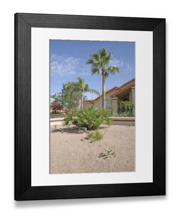 Framed Print : Home drought tolerant landscaping Phoenix, Arizona