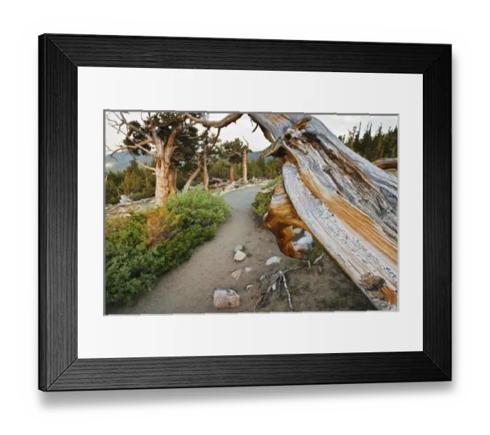 Framed Print : USA, North America, Colorado Framed Print : USA, North America, Colorado