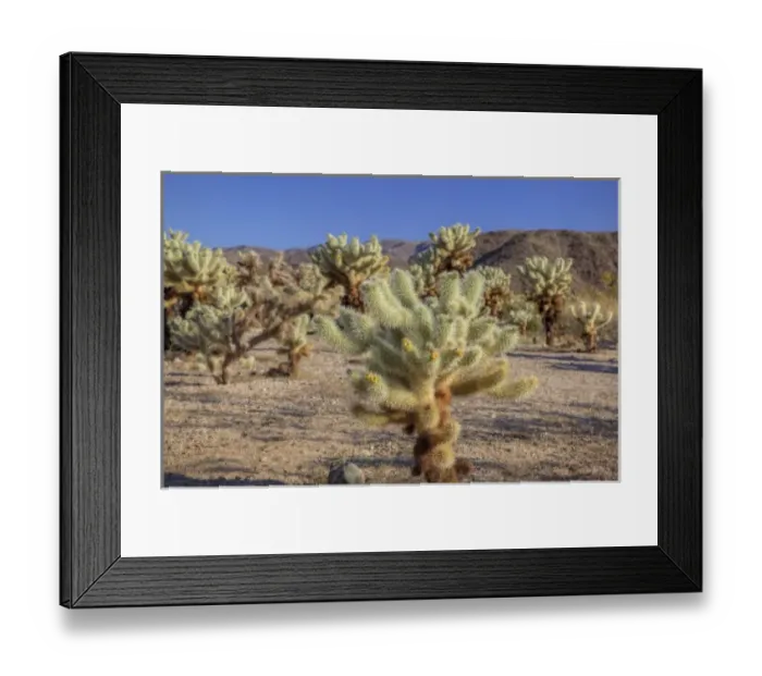 Framed Print : USA, North America, California Framed Print : USA, North America, California