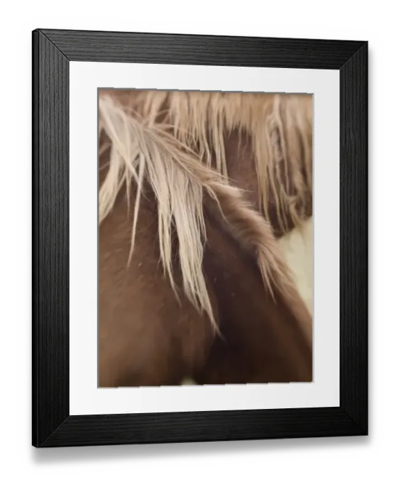 Framed Print : USA, North America, Arizona Framed Print : USA, North America, Arizona