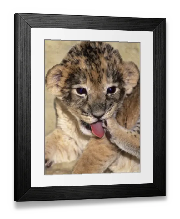 Framed Print : USA, North America, California Framed Print : USA, North America, California