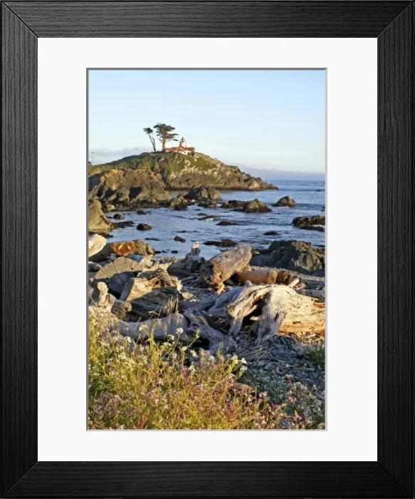 Framed Print : USA, North America, California