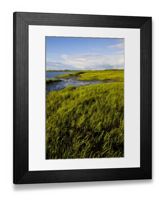 Framed Print : The salt marsh side of Long Beach in Stratford, Connecticut. This body of water is Framed Print : The salt marsh side of Long Beach in Stratford, Connecticut. This body of water is