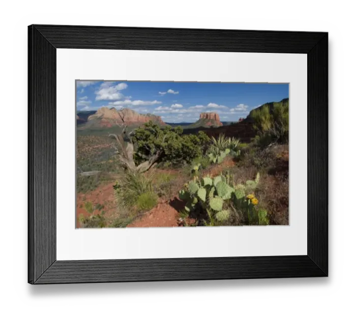 Framed Print : Desert landscape, Sedona, AZ Framed Print : Desert landscape, Sedona, AZ