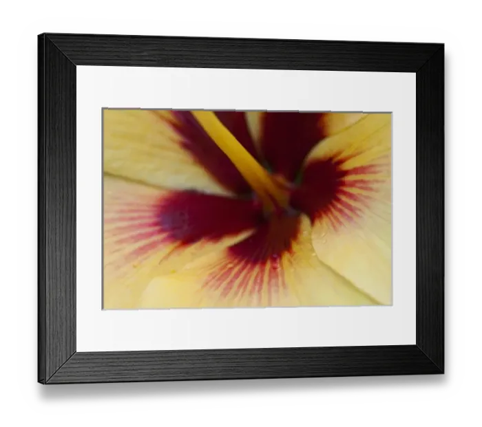 Framed Print : USA, North America, Florida Framed Print : USA, North America, Florida