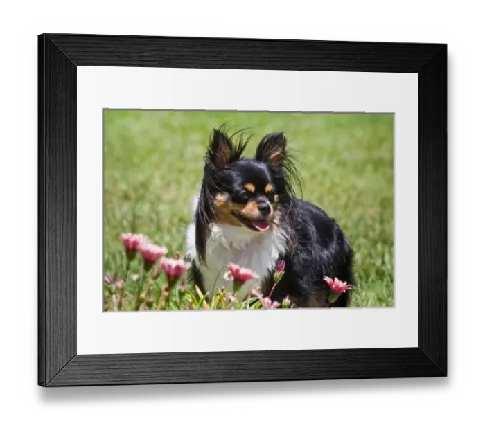 Framed Print : USA, North America, California Framed Print : USA, North America, California
