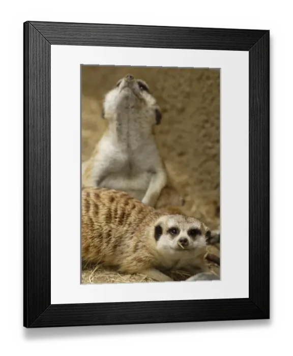 Framed Print : USA, North America, California Framed Print : USA, North America, California