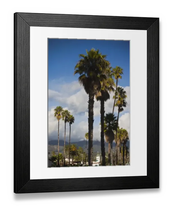 Framed Print : USA, California, Southern California, Santa Barbara, harborfront and beach Framed Print : USA, California, Southern California, Santa Barbara, harborfront and beach