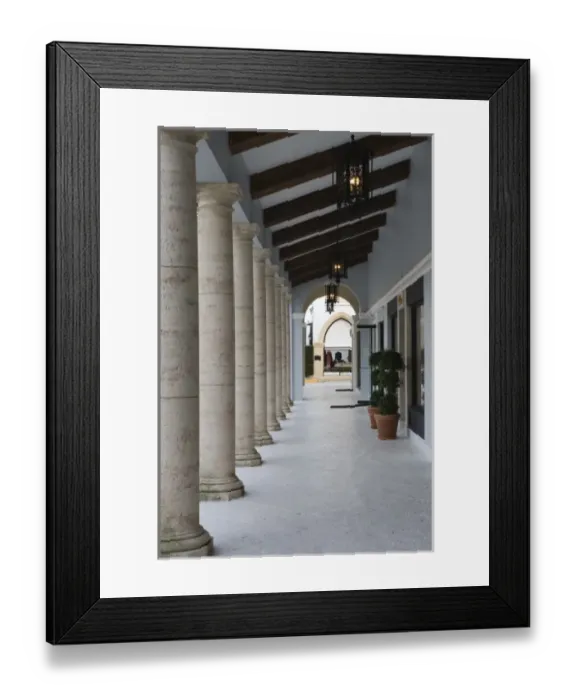 Framed Print : USA, North America, Florida