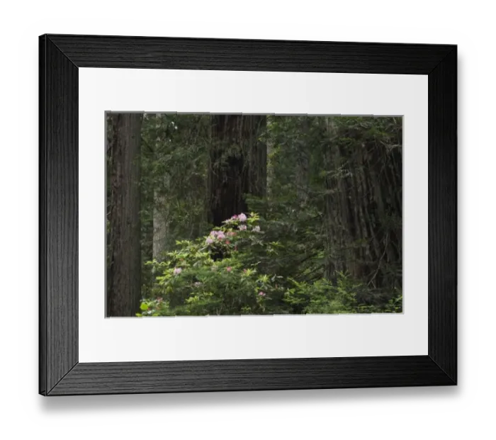 Framed Print : USA, North America, California Framed Print : USA, North America, California