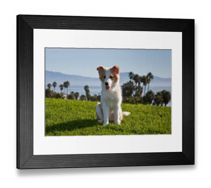 Framed Print : USA, North America, California Framed Print : USA, North America, California