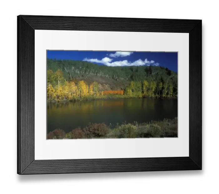 Framed Print : Fall color near Telluride in Colorado