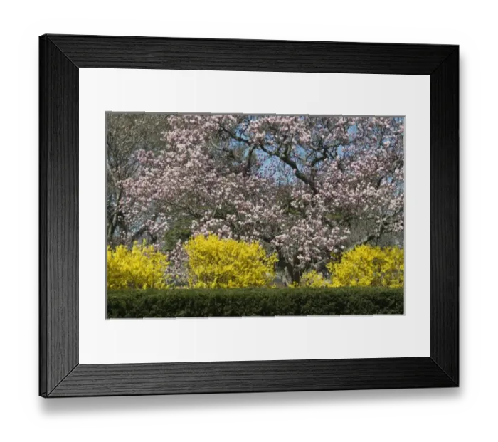 Framed Print : USA, North America, District of Columbia