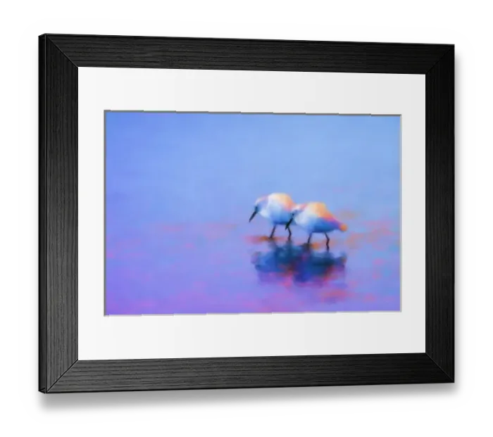 Framed Print : North America, USA, Florida, Merritt Island, digitally altered painterly image of Framed Print : North America, USA, Florida, Merritt Island, digitally altered painterly image of