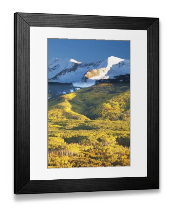 Framed Print : USA, Colorado, Evening Light on West Beckwith Mt. with Autumn Color Framed Print : USA, Colorado, Evening Light on West Beckwith Mt. with Autumn Color