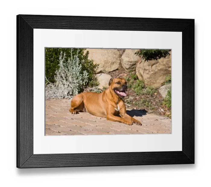 Framed Print : USA, North America, California Framed Print : USA, North America, California