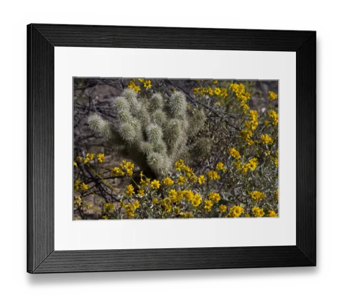 Framed Print : USA, North America, Arizona