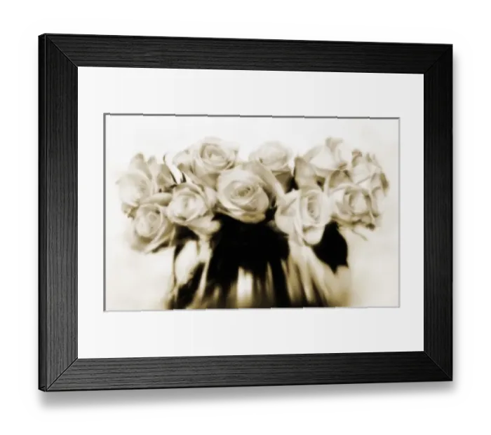 Framed Print : USA, North America, Florida Framed Print : USA, North America, Florida