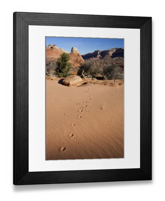 Framed Print : USA, North America, Arizona Framed Print : USA, North America, Arizona
