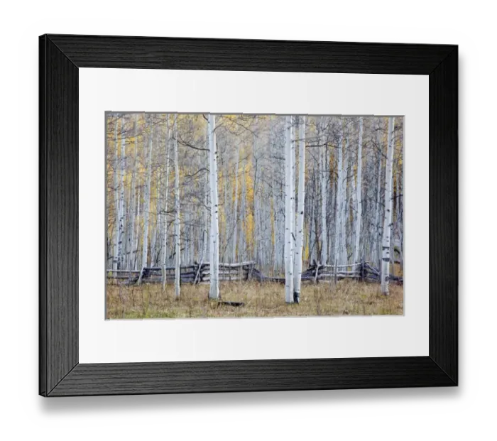 Framed Print : USA, North America, Colorado