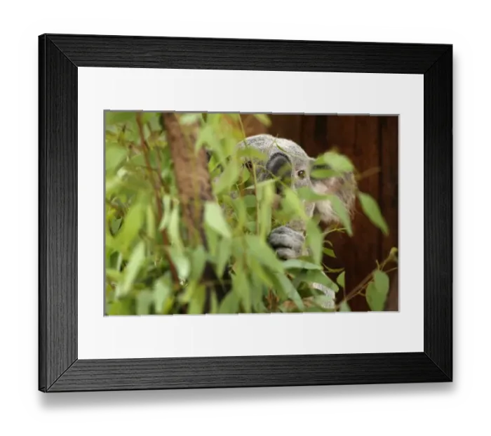 Framed Print : USA, North America, California Framed Print : USA, North America, California