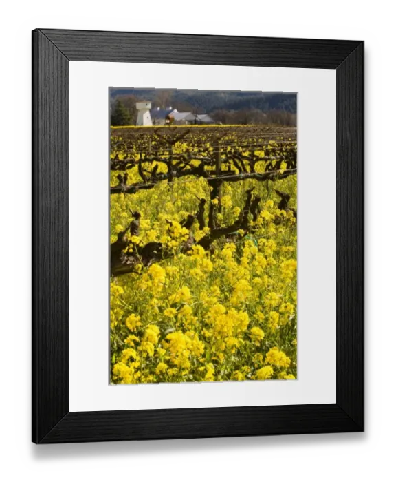 Framed Print : USA, North America, California Framed Print : USA, North America, California