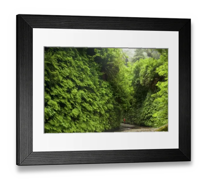 Framed Print : USA, North America, California