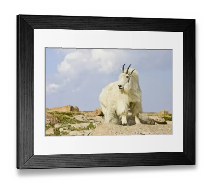 Framed Print : USA, North America, Colorado Framed Print : USA, North America, Colorado