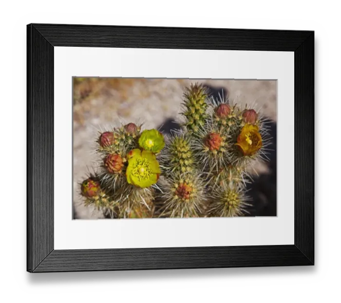 Framed Print : USA, North America, California Framed Print : USA, North America, California