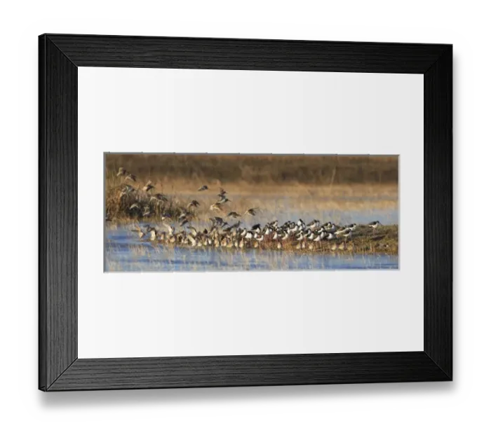 Framed Print : USA, North America, California Framed Print : USA, North America, California