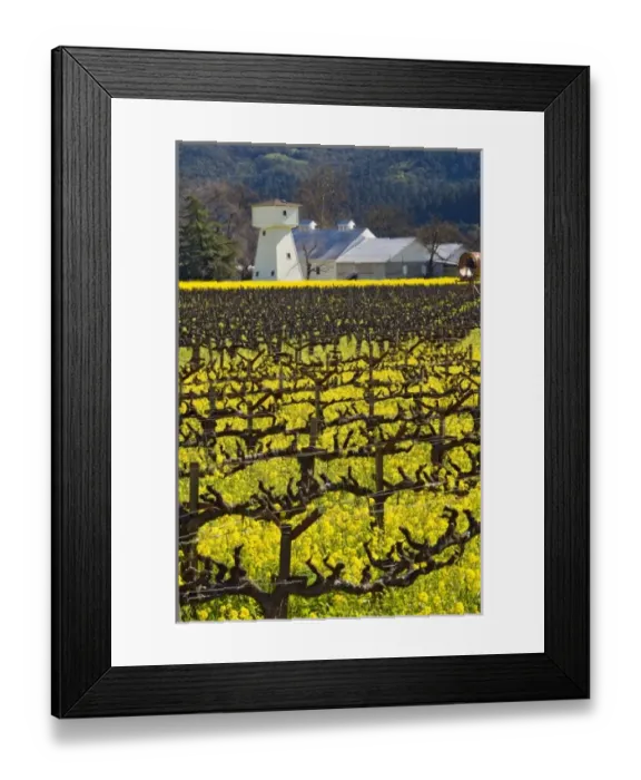 Framed Print : USA, North America, California Framed Print : USA, North America, California