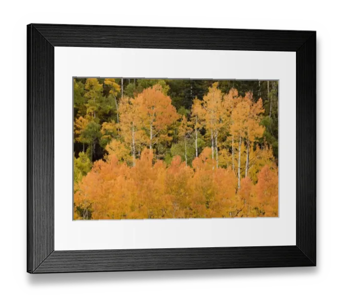 Framed Print : USA, North America, Colorado Framed Print : USA, North America, Colorado