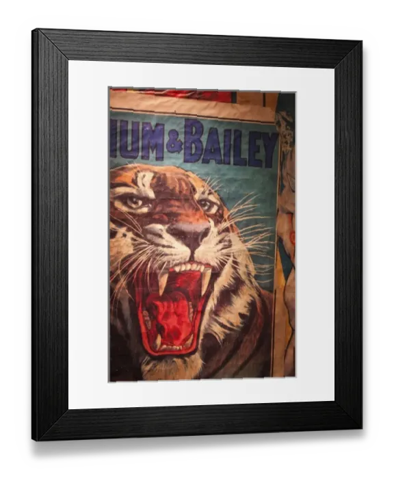 Framed Print : USA, Florida, Sarasota, Ringling Museum, Circus Museum, Circus poster Framed Print : USA, Florida, Sarasota, Ringling Museum, Circus Museum, Circus poster