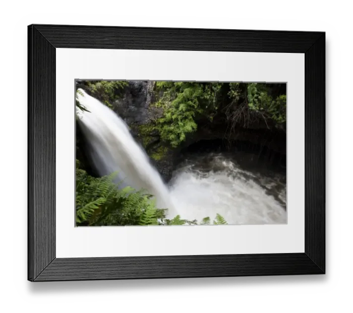 Framed Print : USA, North America, Florida Framed Print : USA, North America, Florida